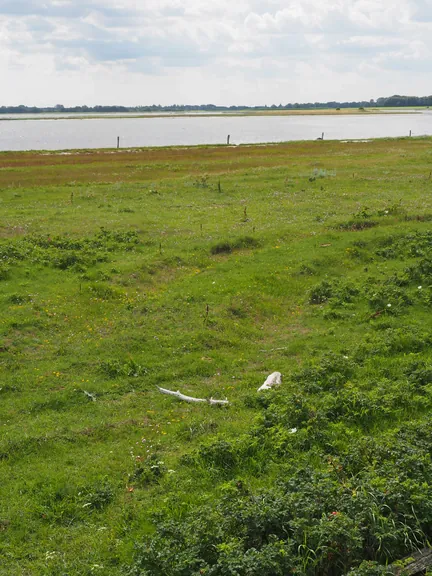 Halshuisene + Enebaerodde Beach (Denemarken)